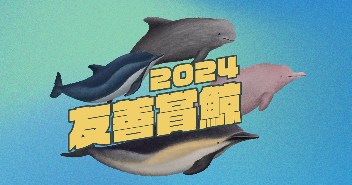每種鯨豚都有獨特的模樣，今天出海你將會看到...???