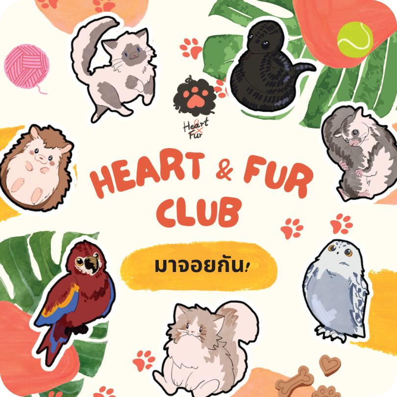 โลโก้ของโครงการ