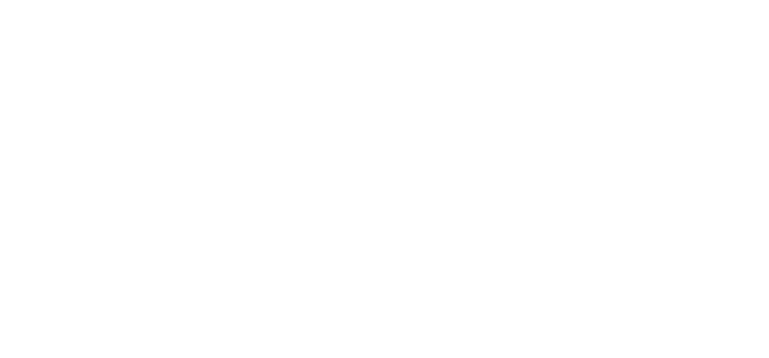 Project Logo