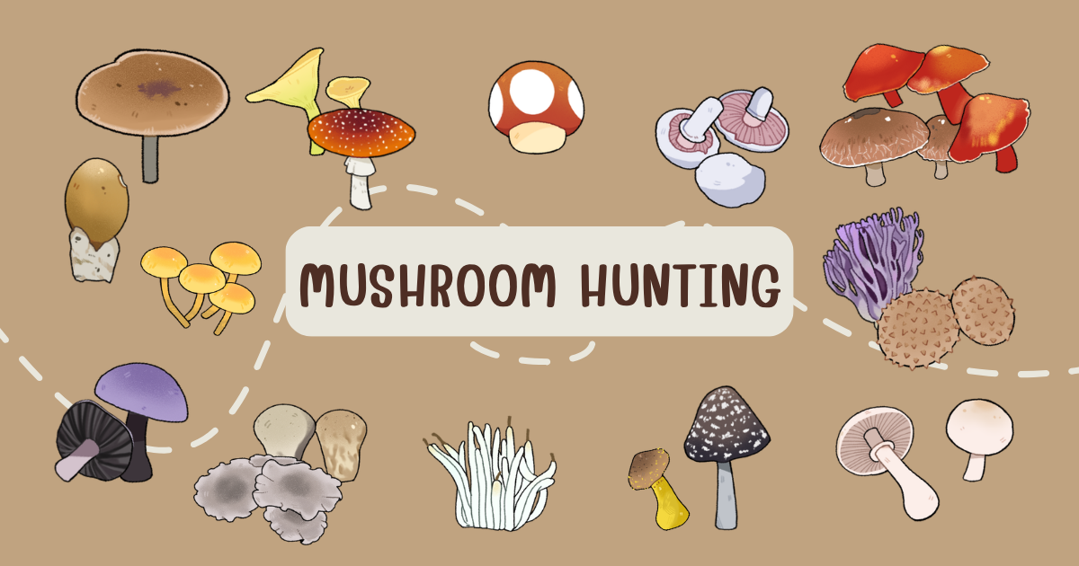 [HWWW2_Class02] Mushroom!