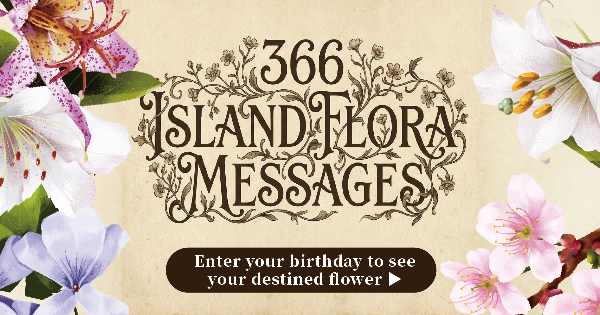 366 Island Flora Messages