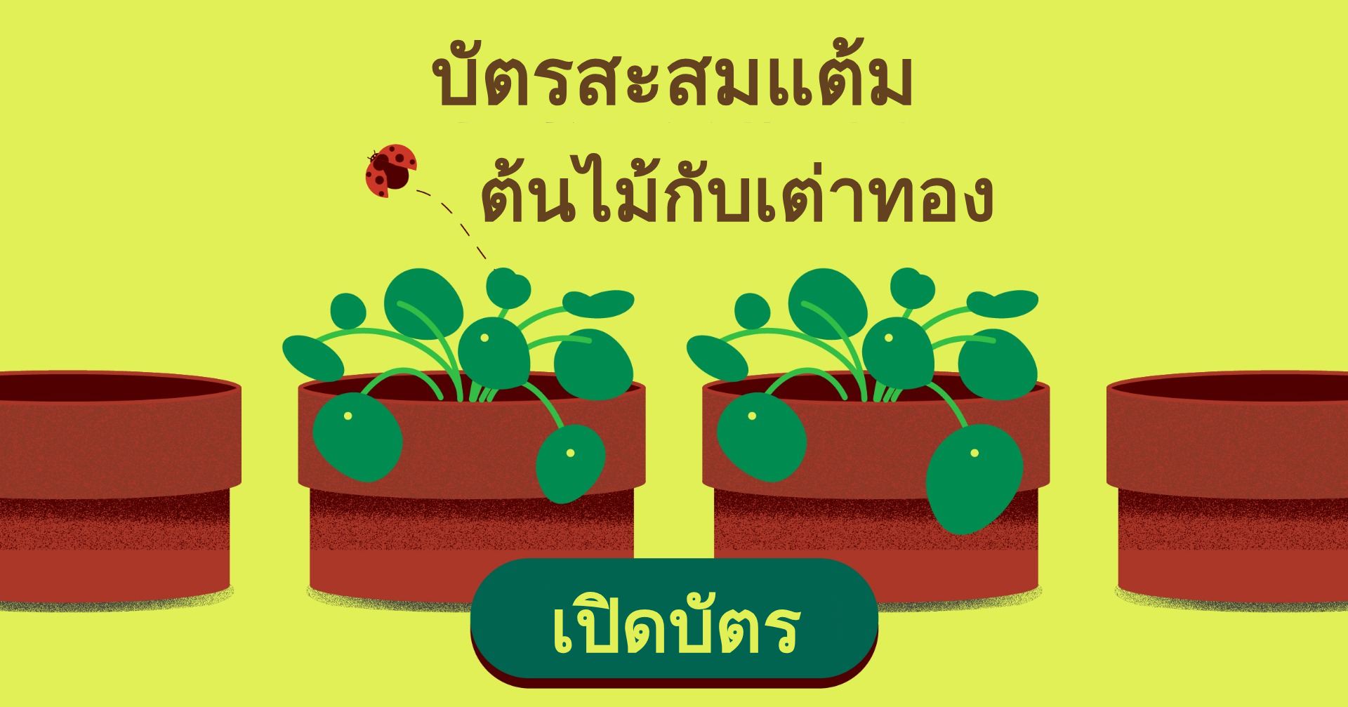 บัตรสะสมแต้ม - บัตรสะสมแต้มต้นไม้กับเต่าทอง｜OOOPEN Lab