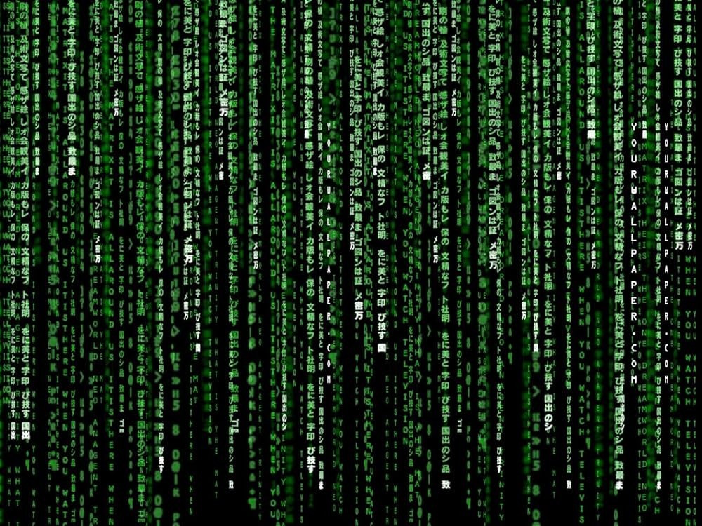 DISCovering you: 
Explore Your Matrix Identity!