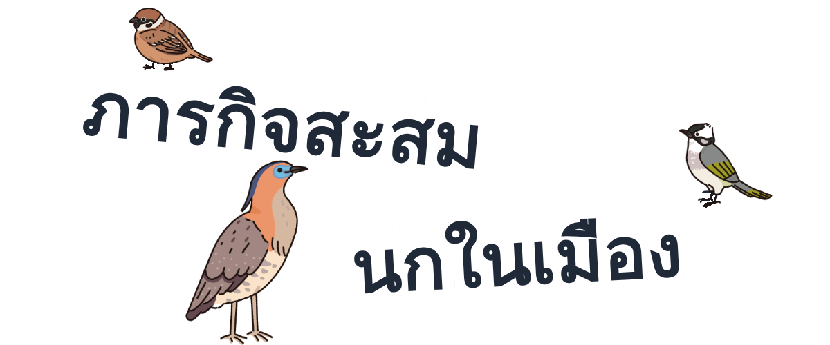 รูปหน้าปก
