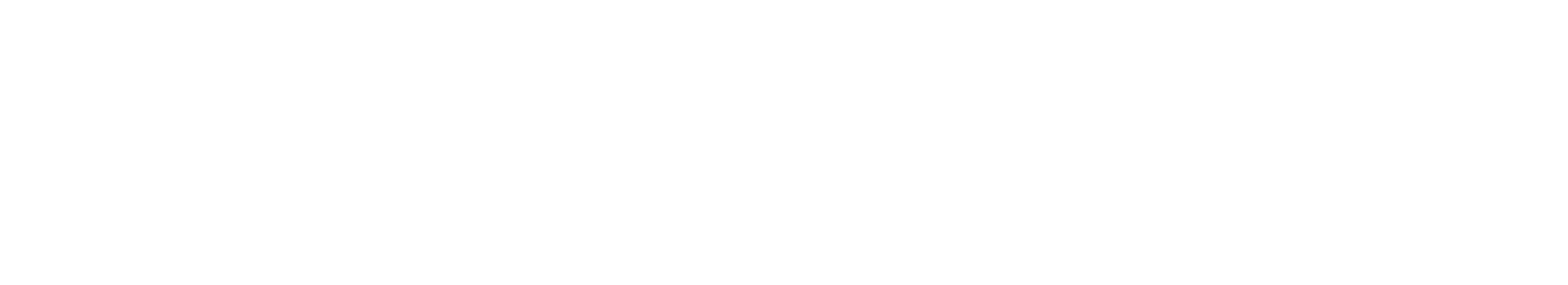 Project Logo