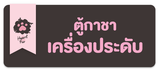 รูปหน้าปก / ใช้การแก้ไขแม่แบบ