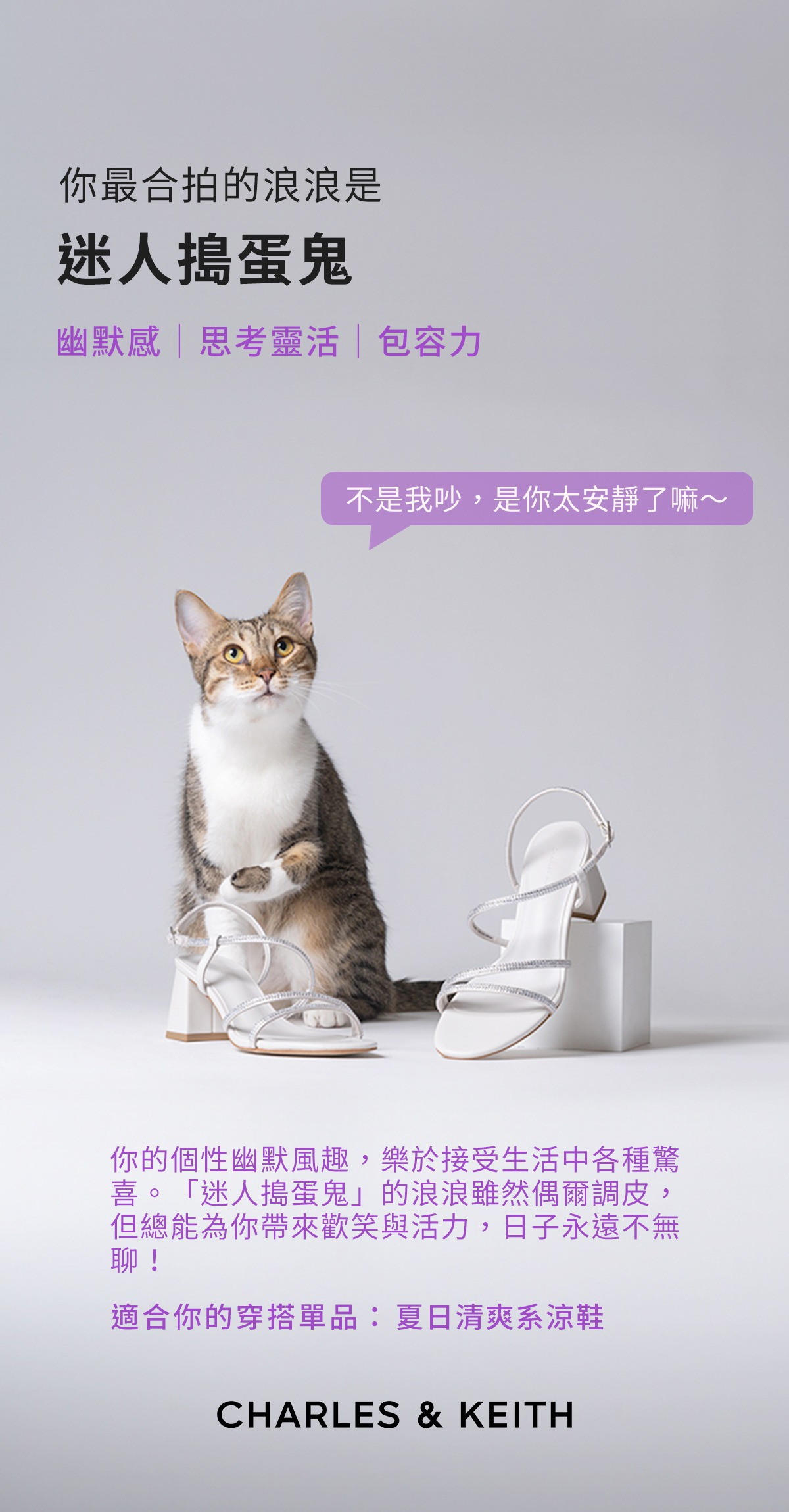 測你和哪種浪浪最合拍？