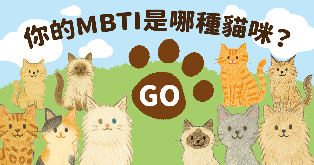 你的MBTI是哪種貓咪？