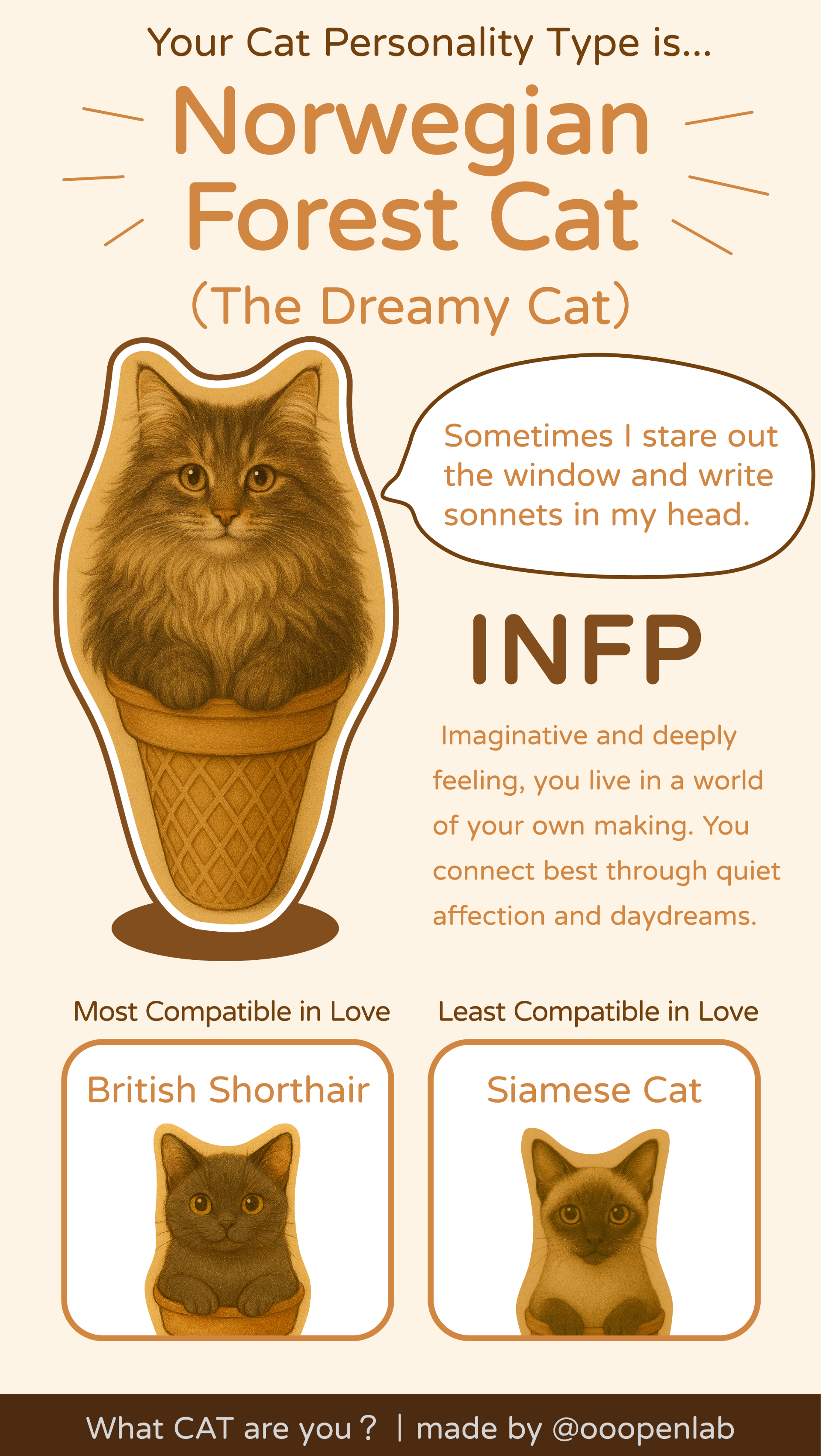 What Cat Are You? | Find Your 16 Personality Types Cat Type 🐱✨