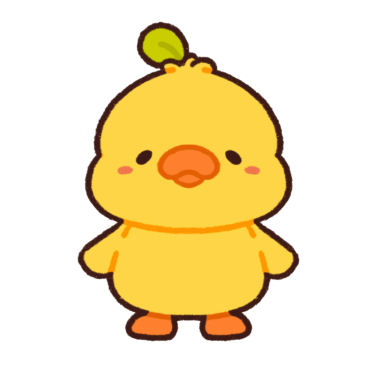 Cover Image / Apply Template Edit