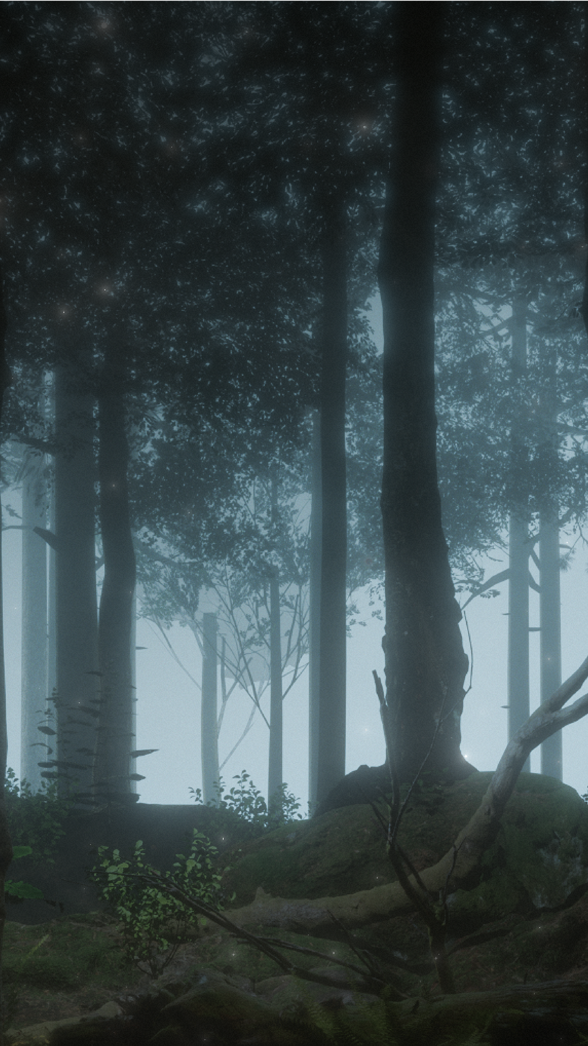 Who is your destined Little Forest Spirit?