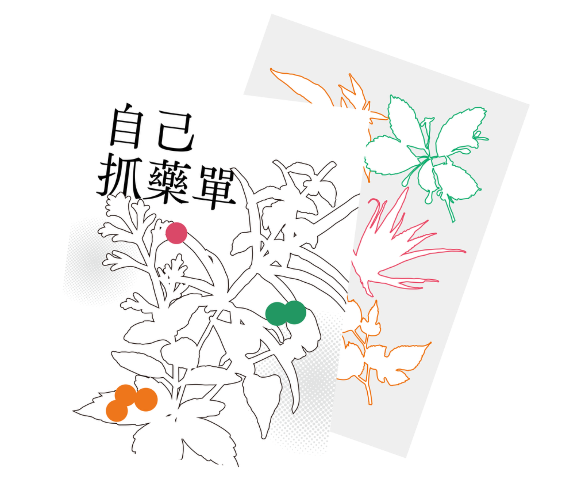 專案視覺/GIF