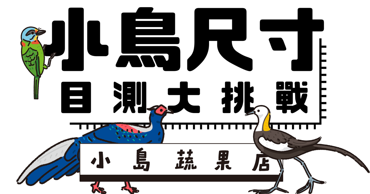 動腦益智遊戲