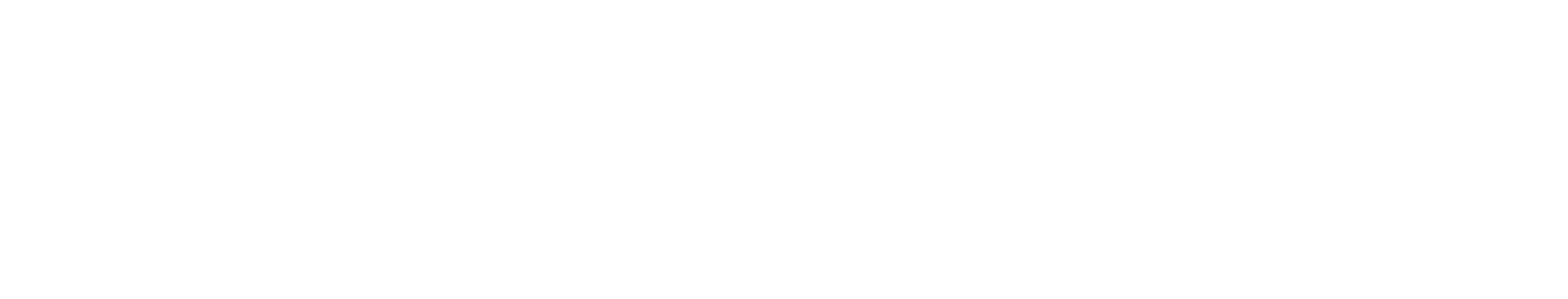 Project Logo