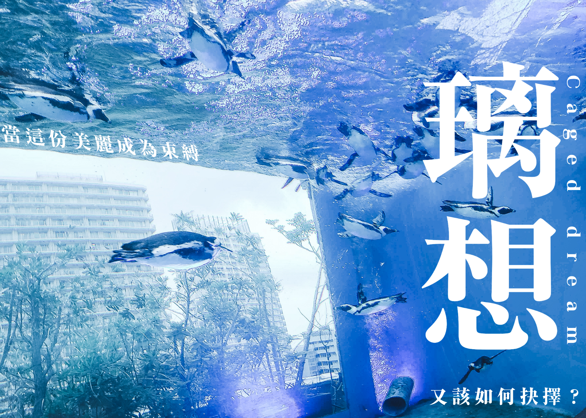 你會選安全感還是熱情？