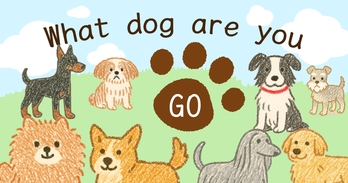 What dog are you 🐶❤️