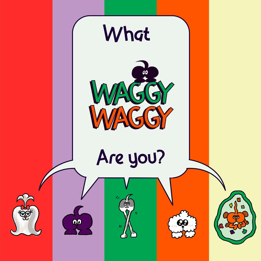 What WAGGY WAGGY are you?
