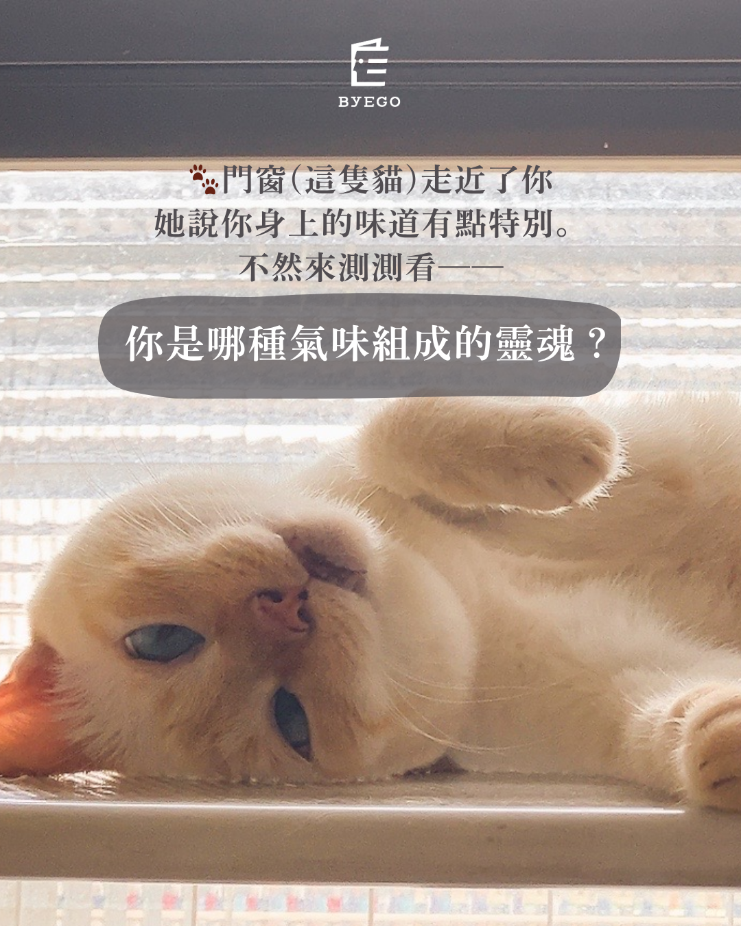 專案視覺/GIF