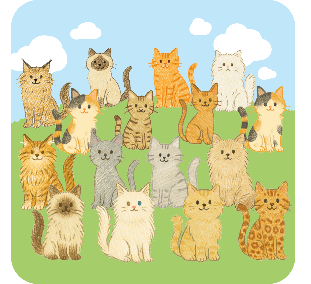猫診断の世界