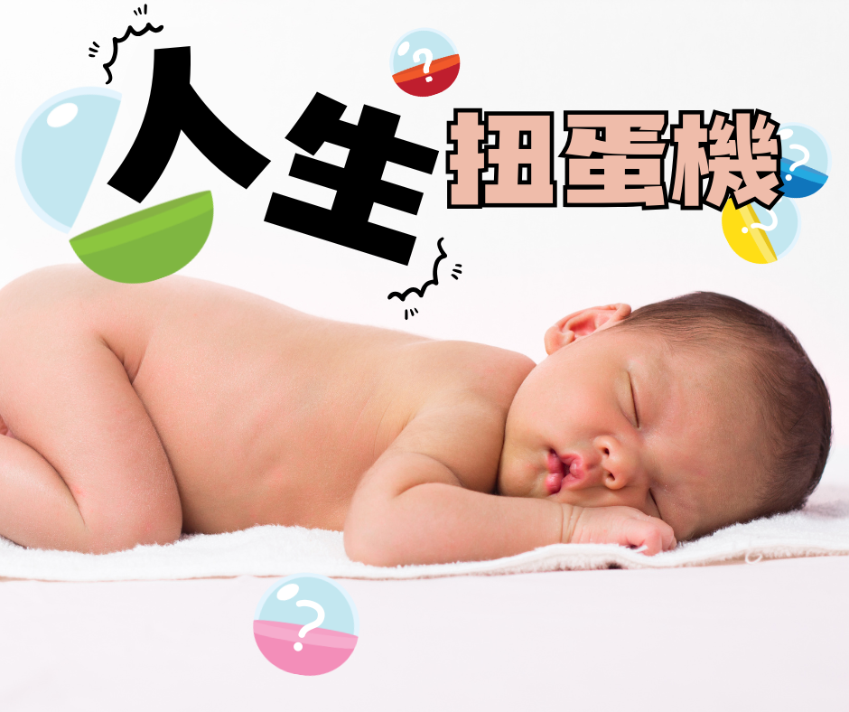 專案視覺/GIF