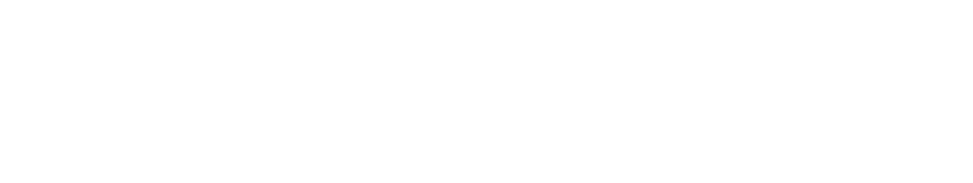 Project Logo