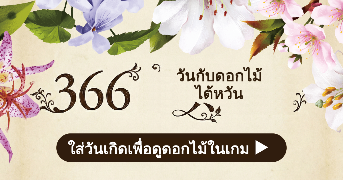 จับคู่ความสัมพันธ์ - ดอกไม้ไต้หวัน 366 วัน｜OOOPEN Lab