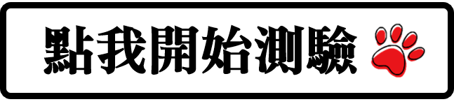 開始探索