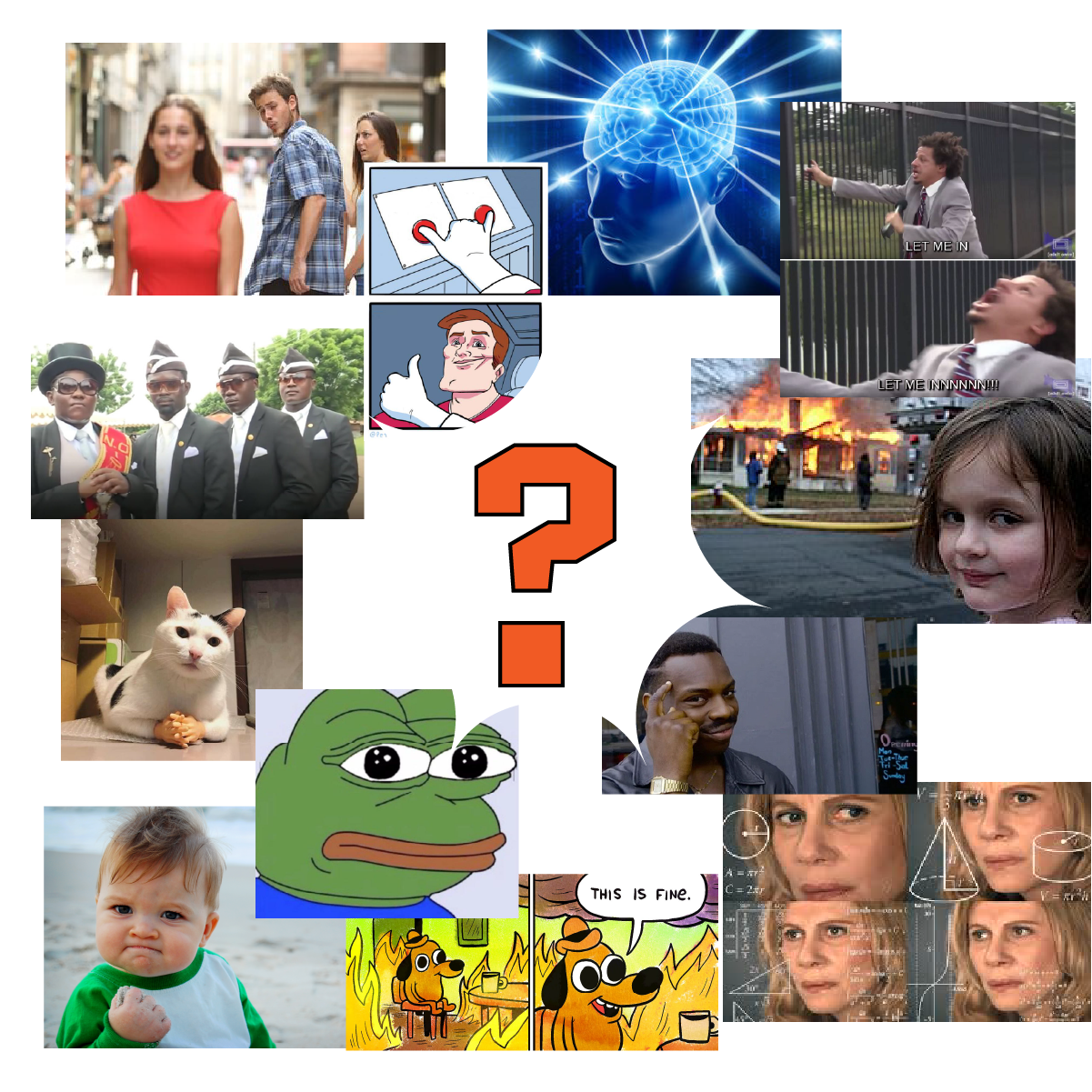 Project Image/GIF