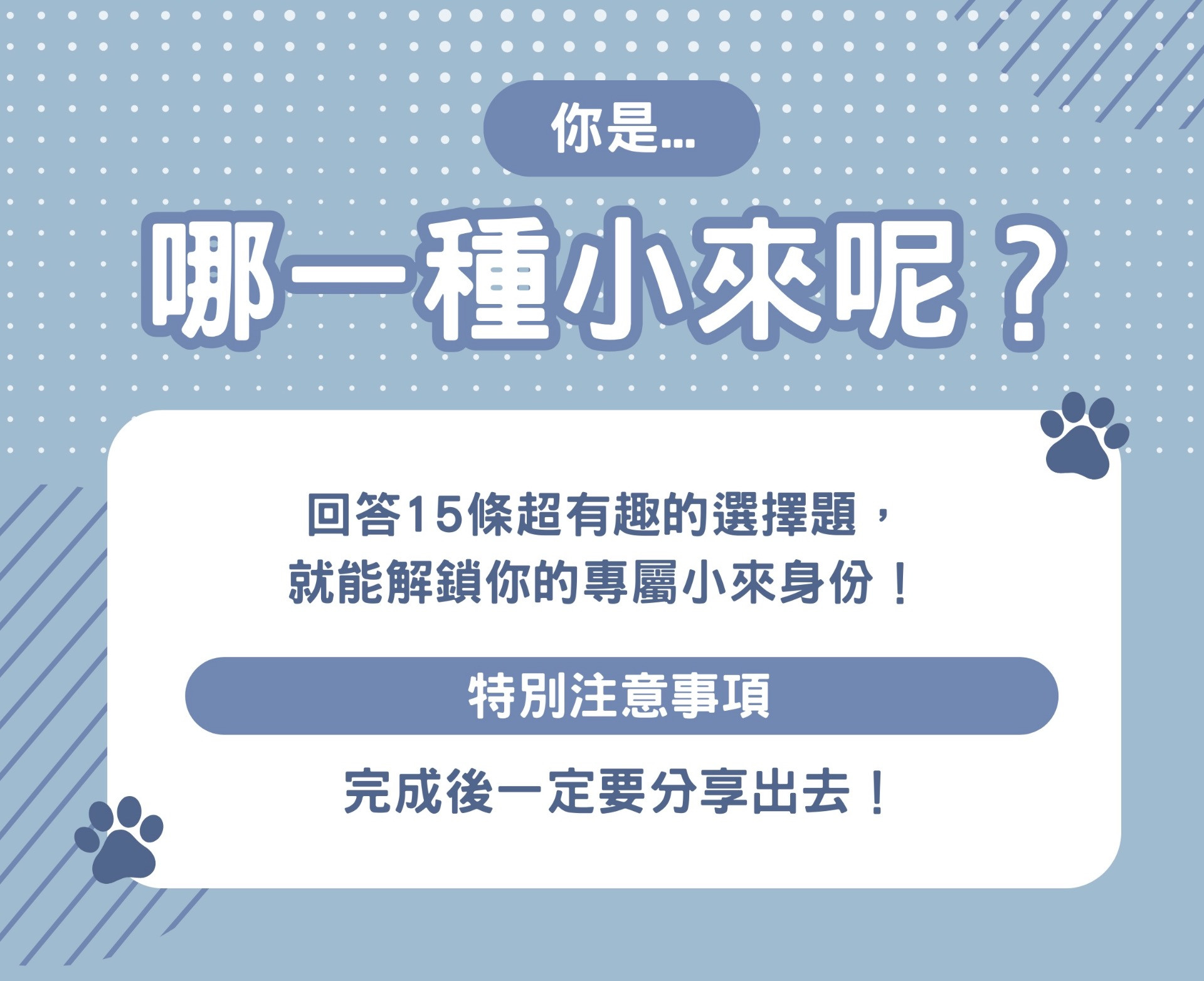 你是哪一種小來呢