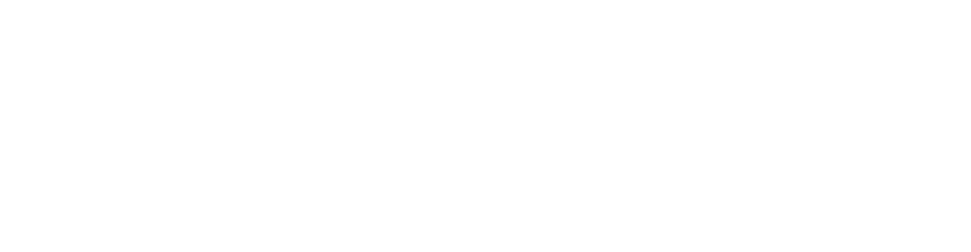 Project Logo