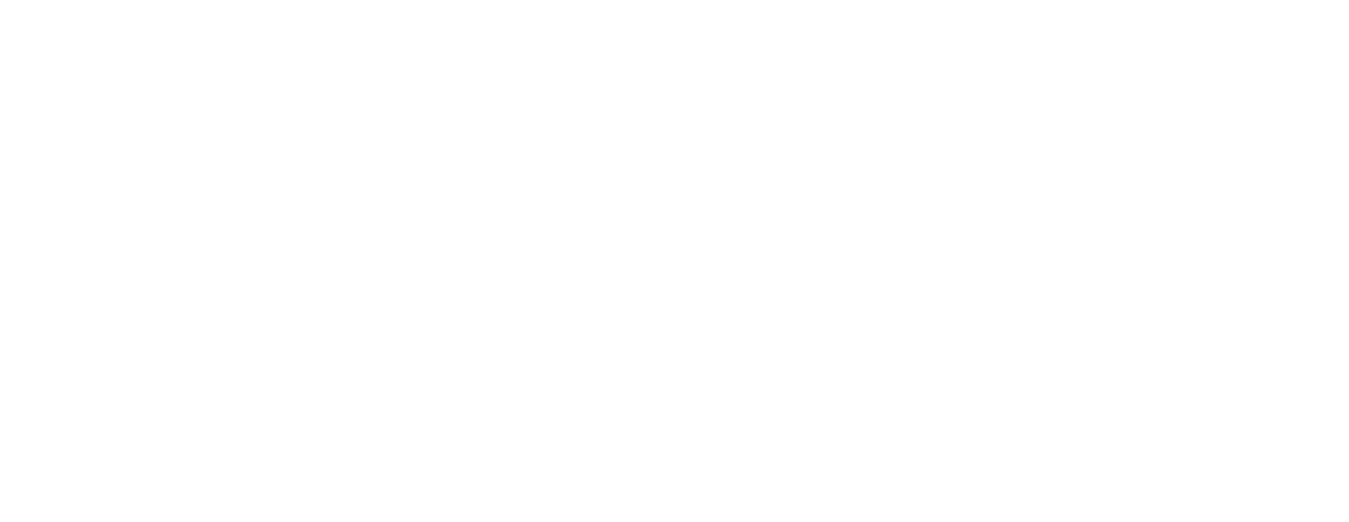 Project Logo