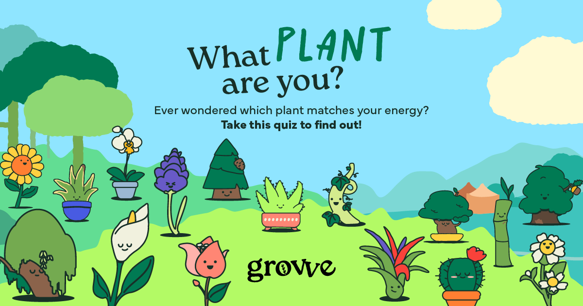 What plant gives off your vibe? 