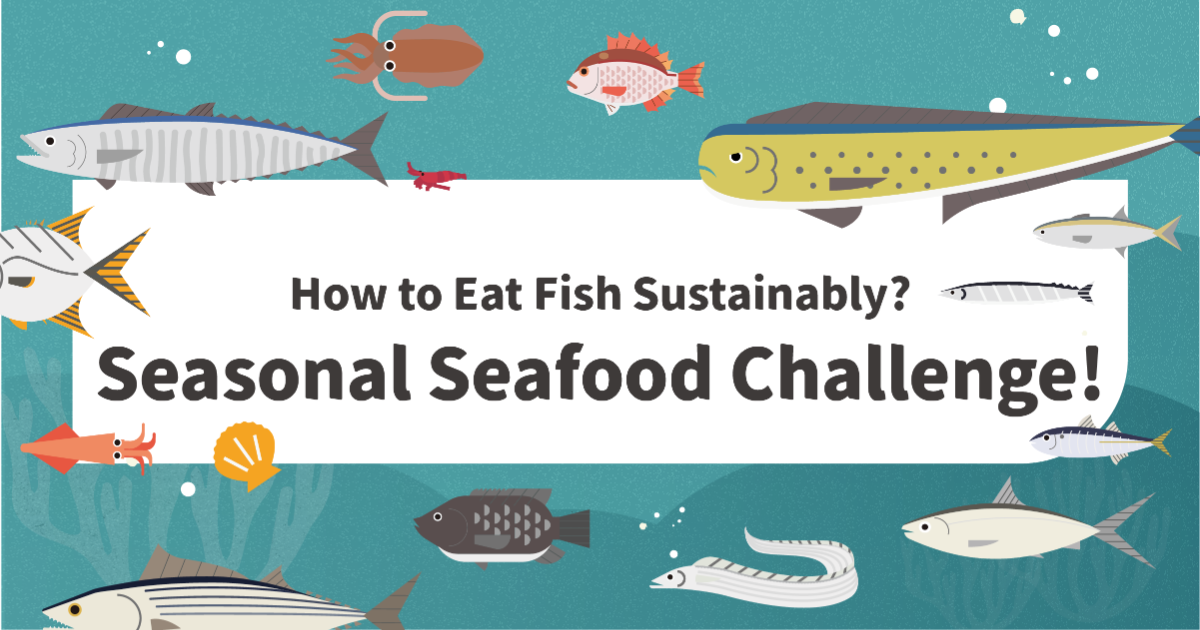 How to Eat Fish Sustainably? Seasonal Seafood Challenge!