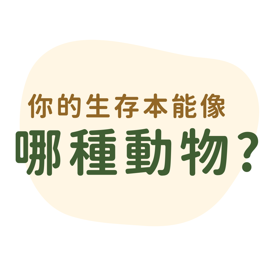 專案視覺/GIF