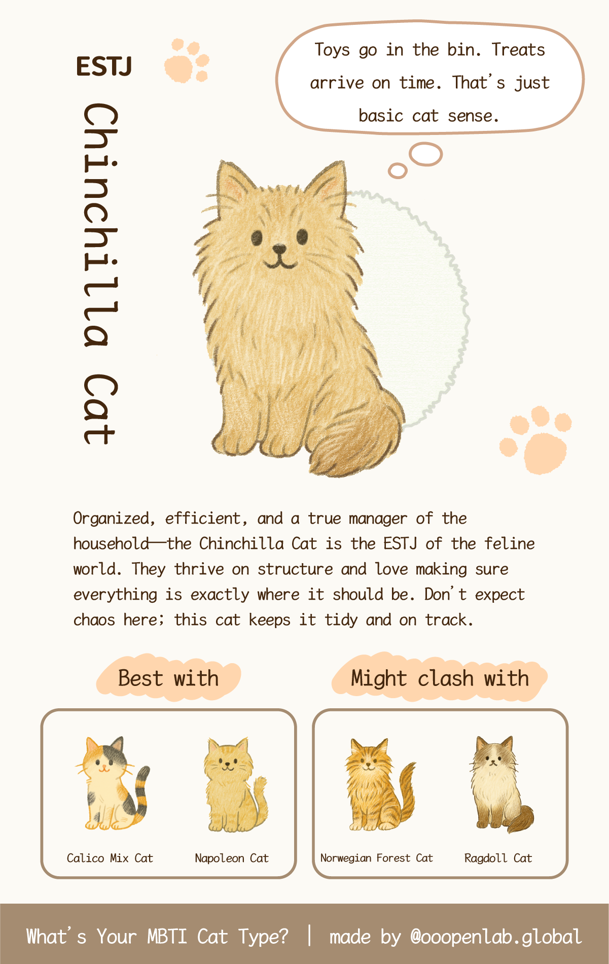 What's Your MBTI Cat Type?