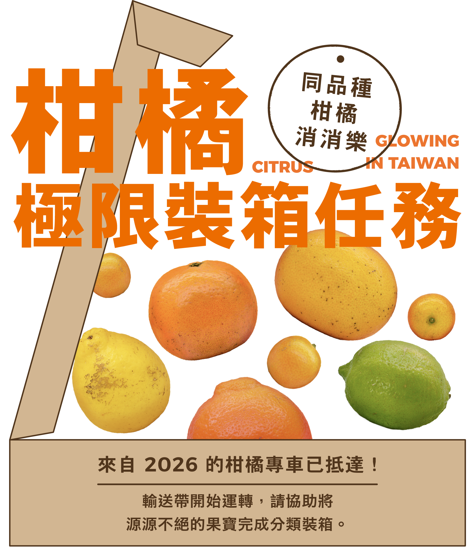 封面圖 / 套用版型編輯