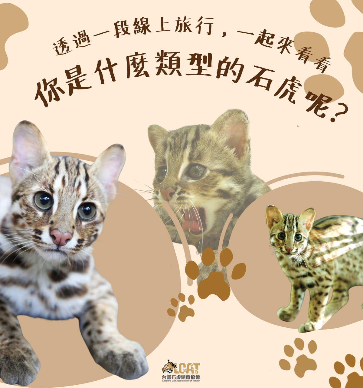 更新封面圖