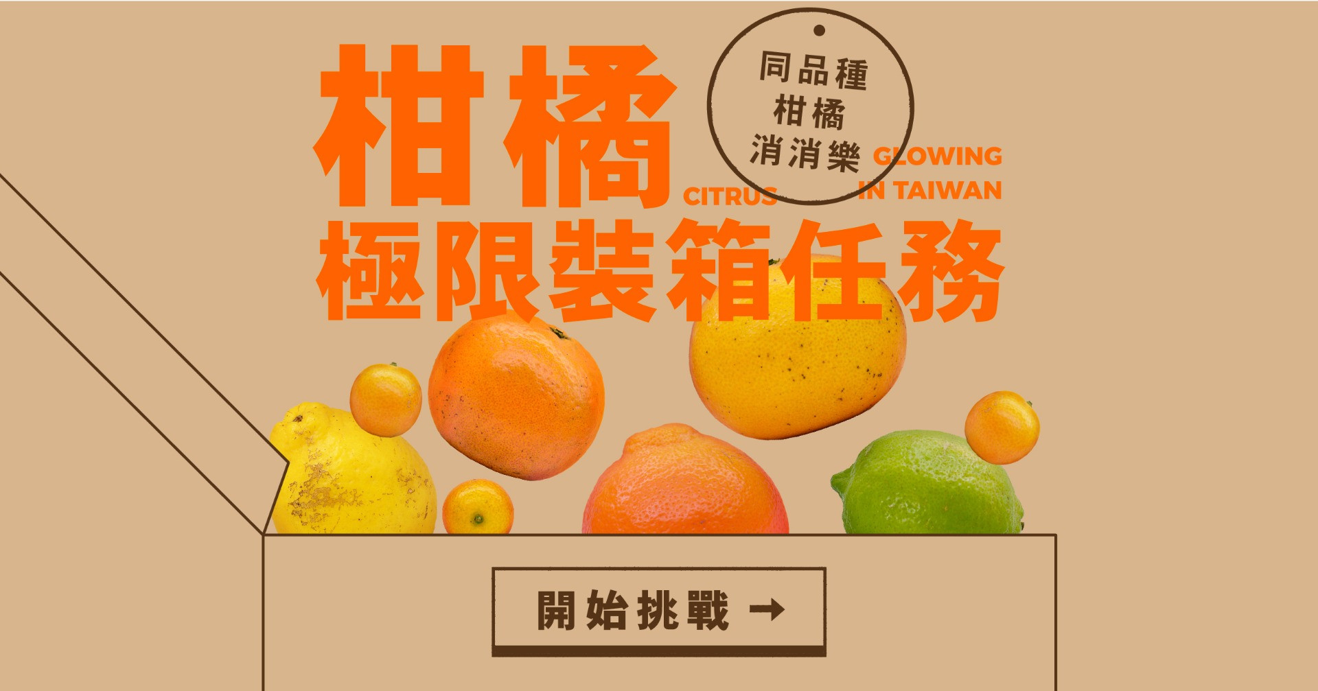 臺灣柑橘：極限裝箱任務－柑橘消消樂
