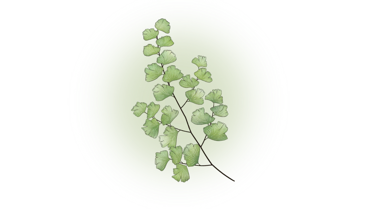 封面圖 / 套用版型編輯