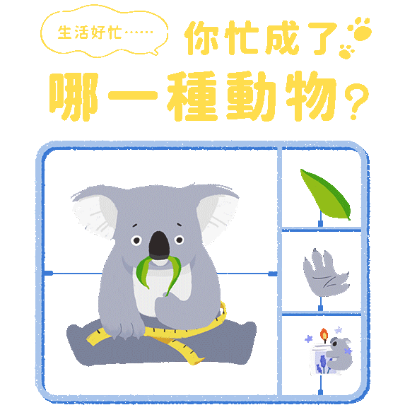 專案視覺/GIF