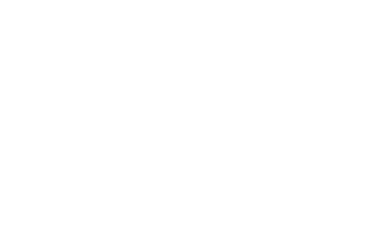 Project Logo