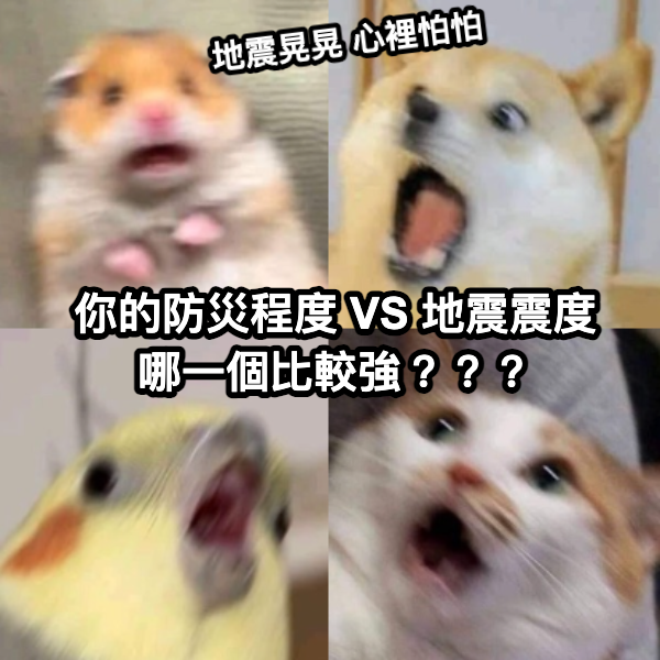 專案視覺/GIF