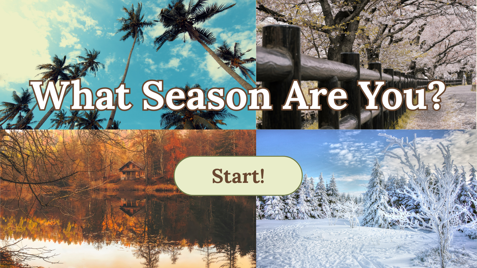What Season Are You?