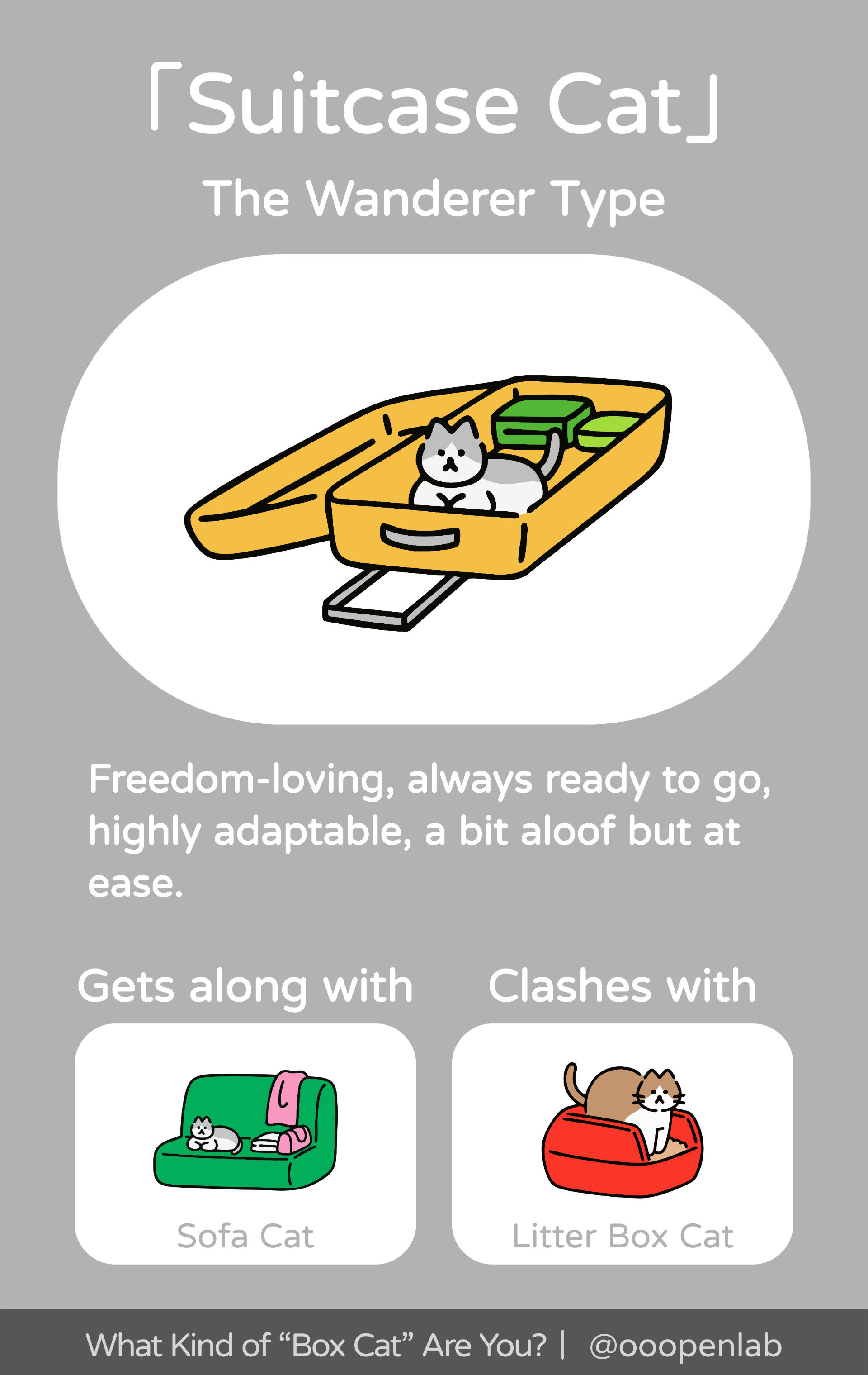 What Kind of Box Cat Are You?