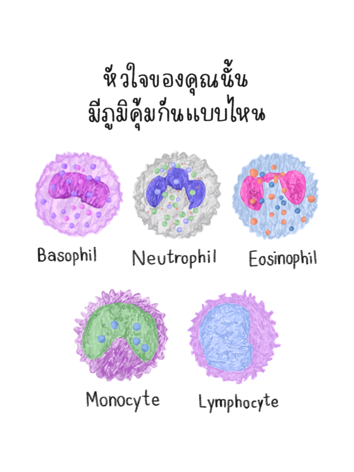 รูปหน้าปก / ใช้การแก้ไขแม่แบบ