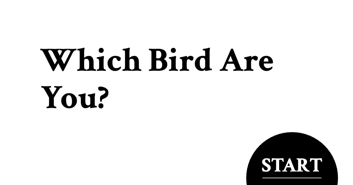 Which Bird Are You?