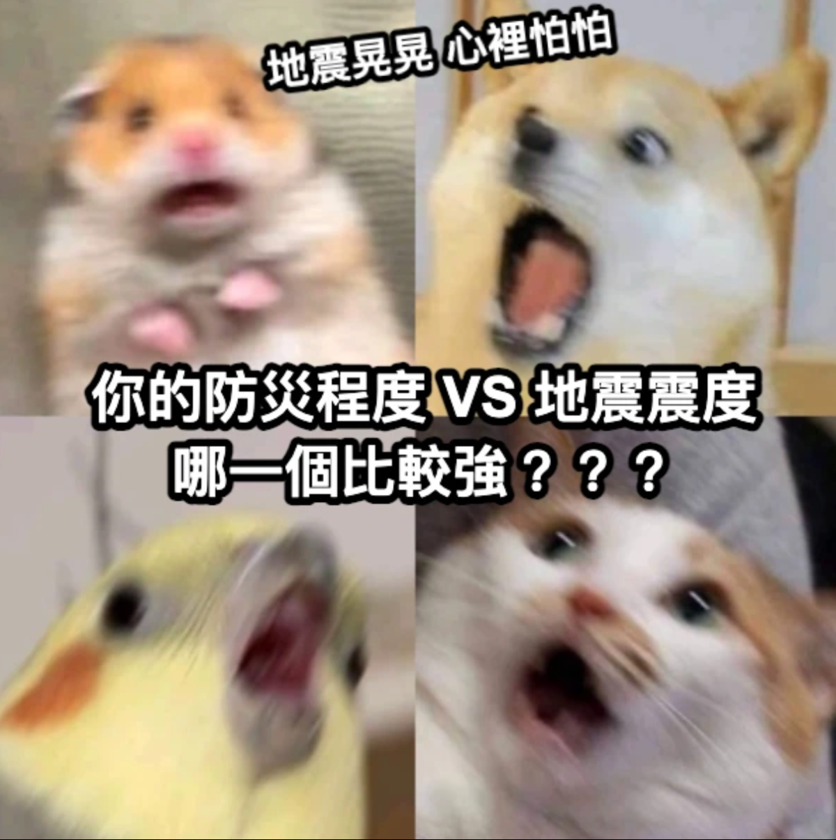 30秒挑戰