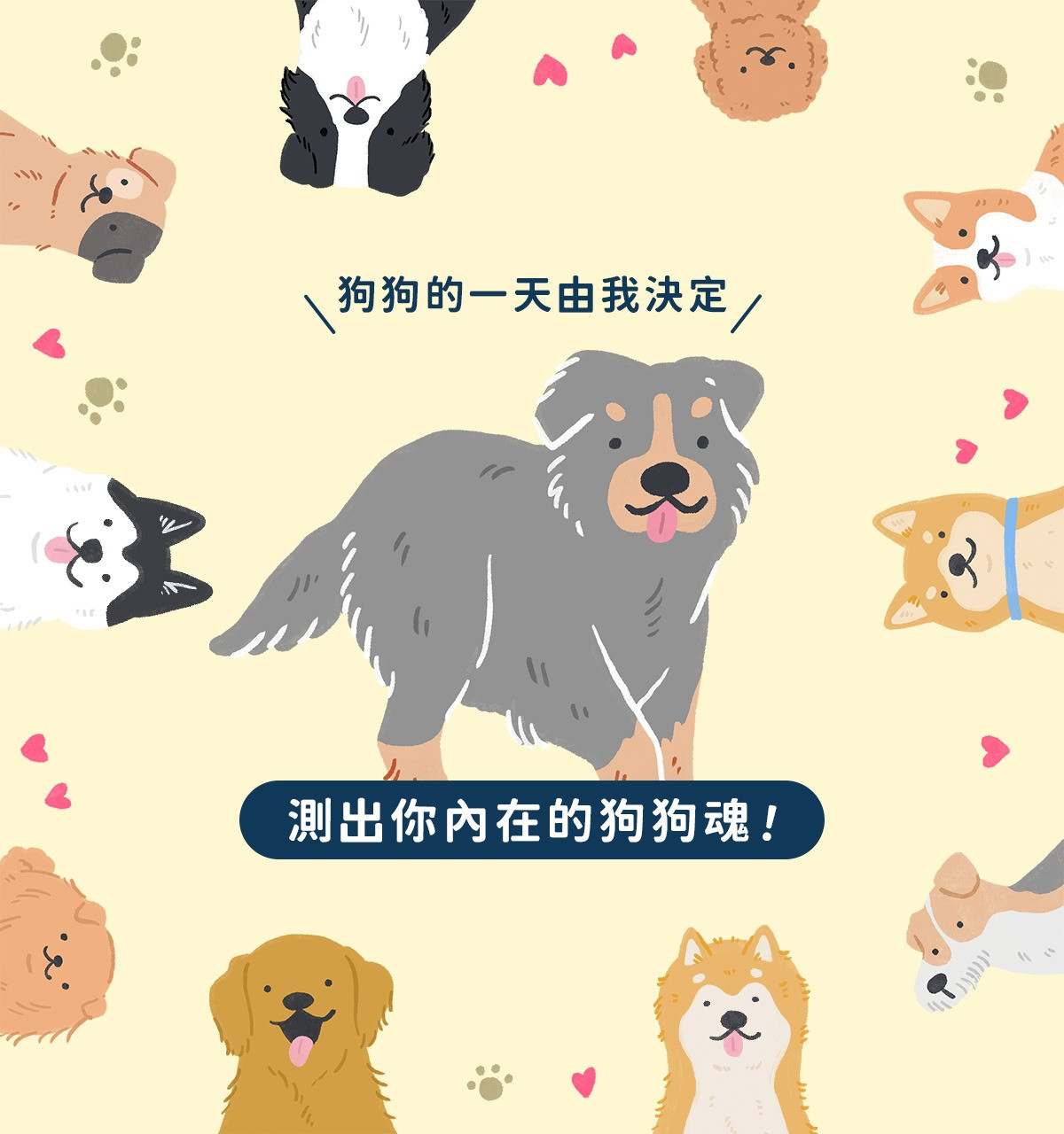 ੯‧̀͡⬮ 如果我是狗狗⋯我的一天會是怎麼過的呢？ 
