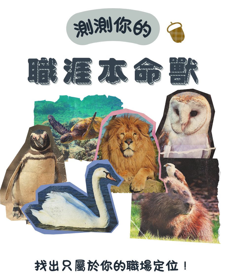 專案視覺/GIF
