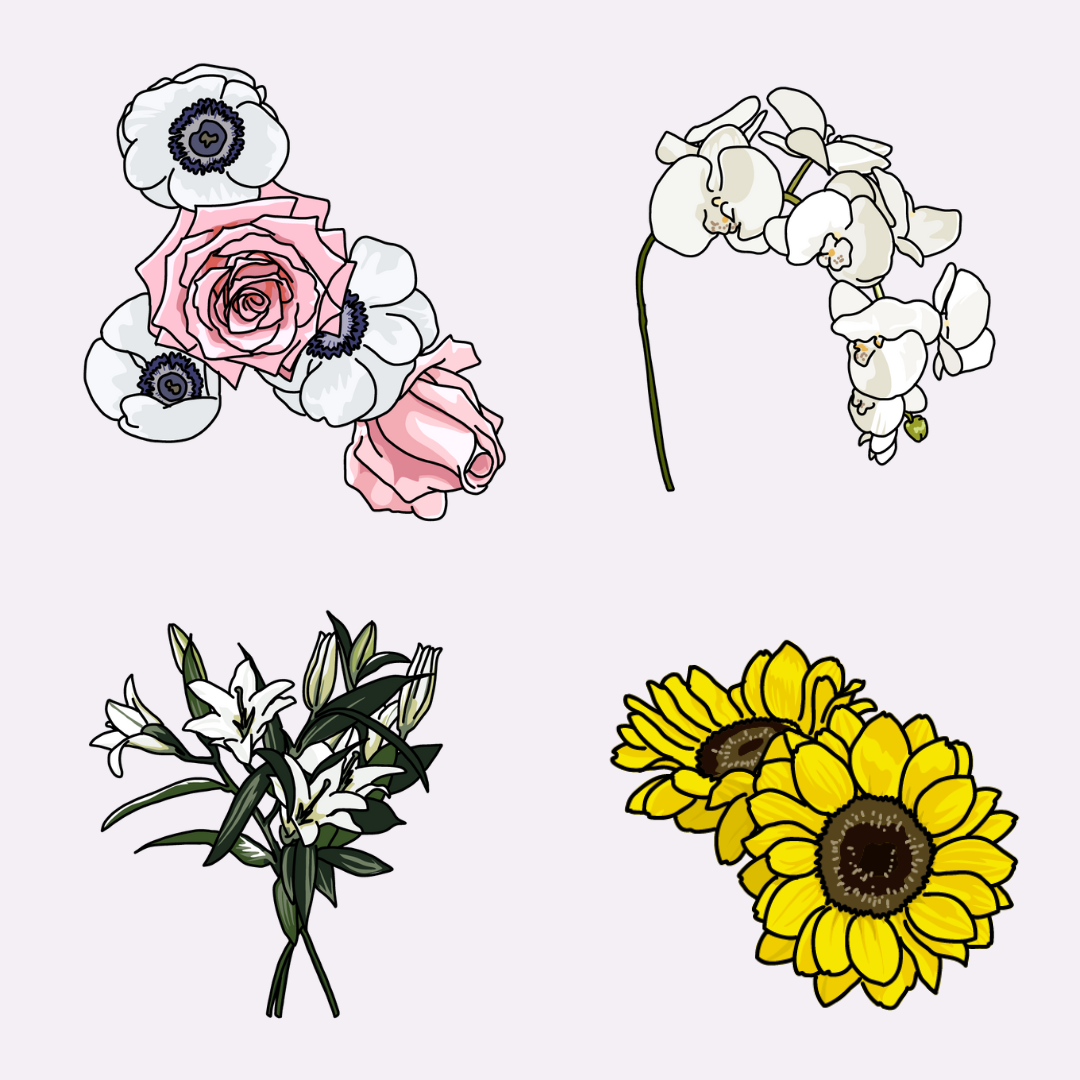 Project Image/GIF